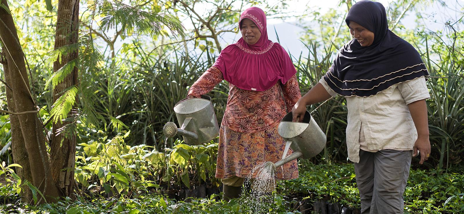 Women watering seedlings in a nursery