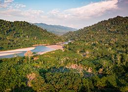 Forest Conservation