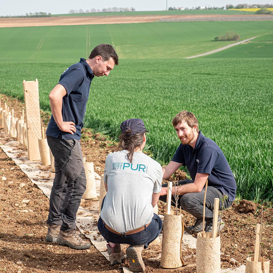 L'équipe PUR en visite sur le terrain pour l'un de nos projets d'agroforesterie à Ici On Seme, en France.
