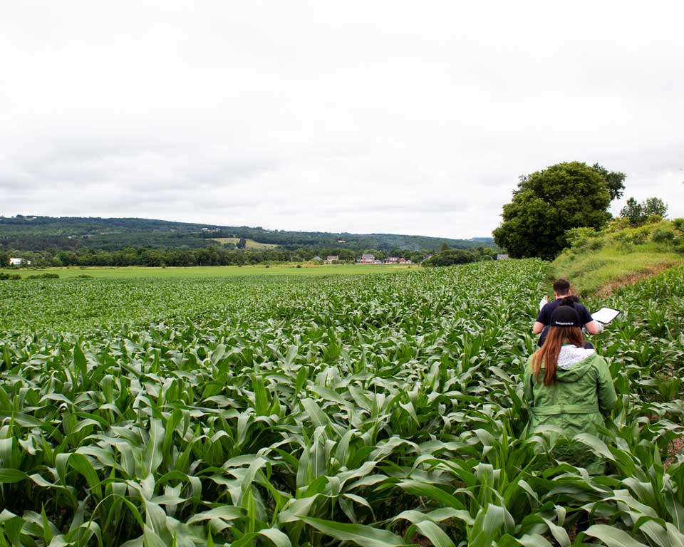 PUR Staff monitoring a field in Creemore, Ontario.