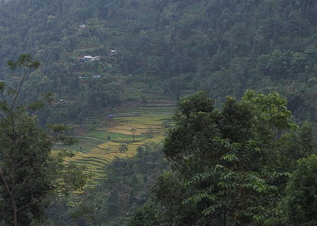 Darjeeling, India