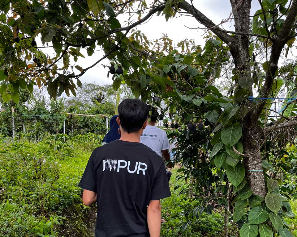 Personnel de PUR effectuant une visite de terrain en Indonésie.