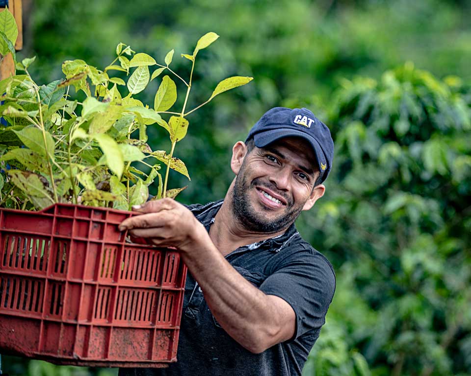 Distribution de jeunes arbres au Costa Rica.