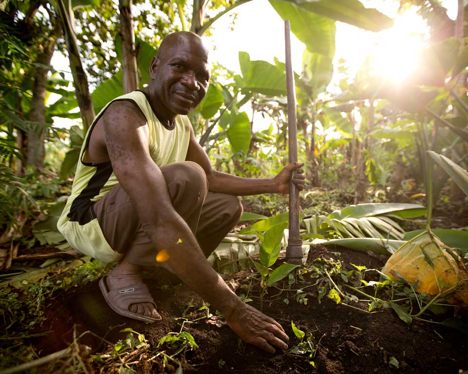 Agriculteur plantant un arbre en Ouganda.