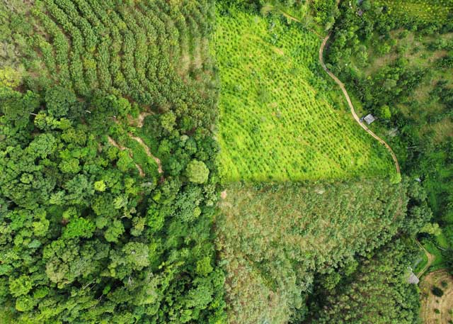 Thamma Raksa, Thailand