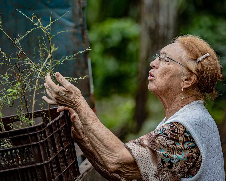 Woman feeling and touching tree saplings in Costa Rica.
