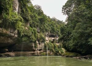 Rock cliffs on each side of a river with trees surrounding it.