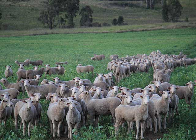 Nouvelle-Galles du Sud, Australie